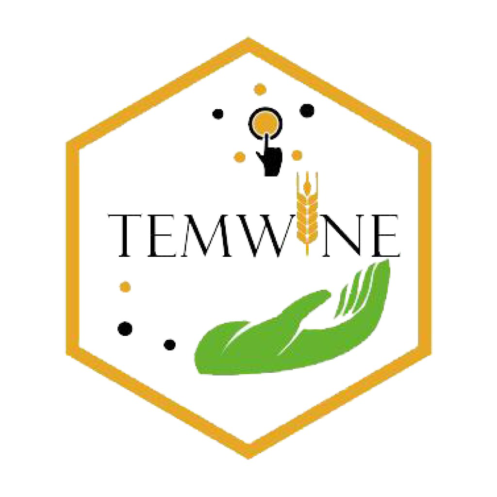 Logo Temwin